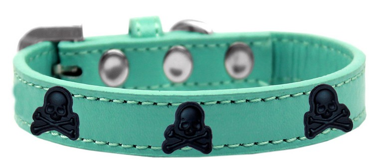 Skull Widget Dog Collar Aqua Size 10